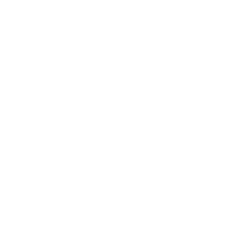 Connections Icon